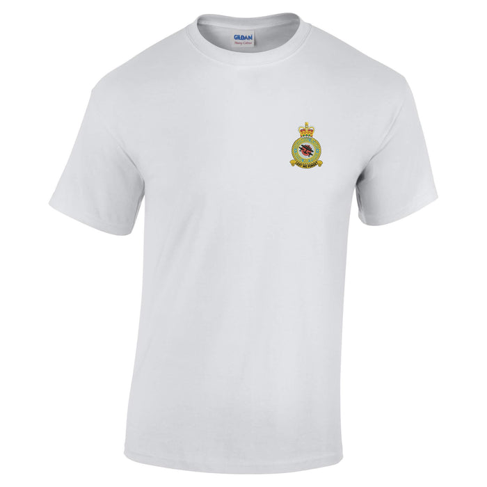 Battle of Britain Memorial Flight Cotton T-Shirt