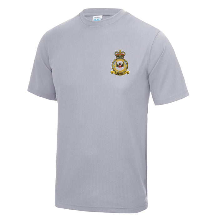 No 14 Squadron RAF Polyester T-Shirt