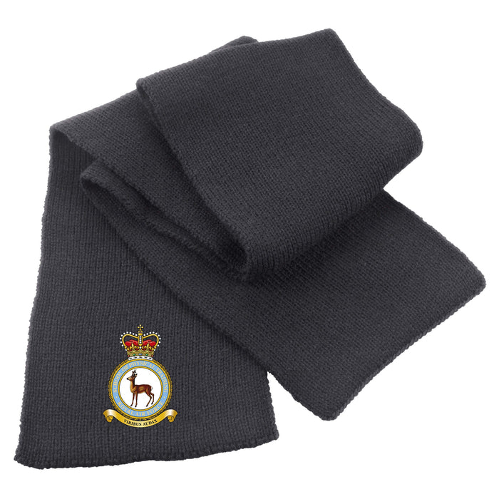 RAF School of Physical Training Heavy Knit Scarf