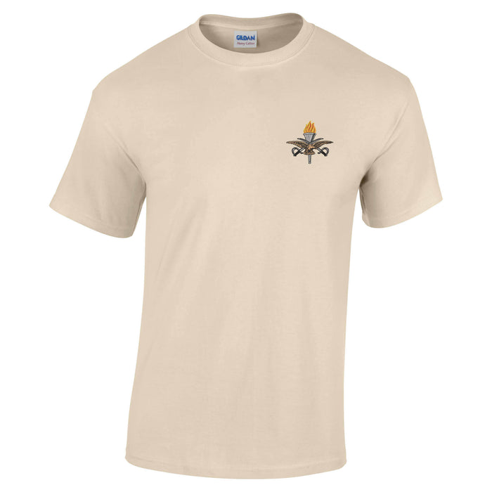 RAF Training Branch (RAF Cadre Sleeve) Cotton T-Shirt