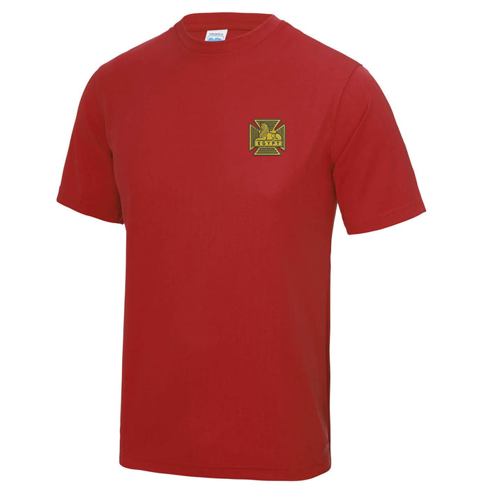 Royal Gloucestershire, Berkshire and Wiltshire Regiment Polyester T-Shirt