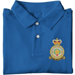 No 31 Squadron RAF