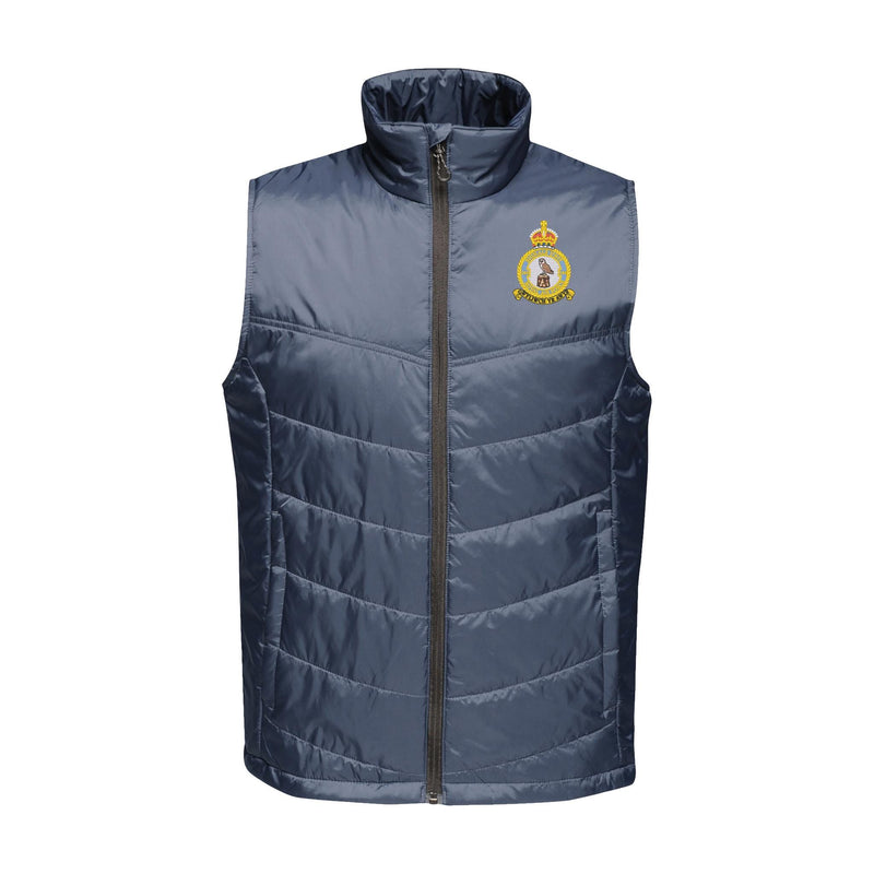 144 Signals Unit - RAF Insulated Bodywarmer