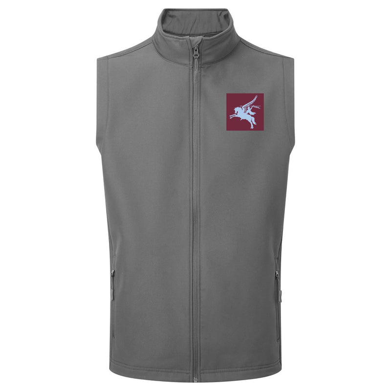 16 Air Assault Brigade Gilet