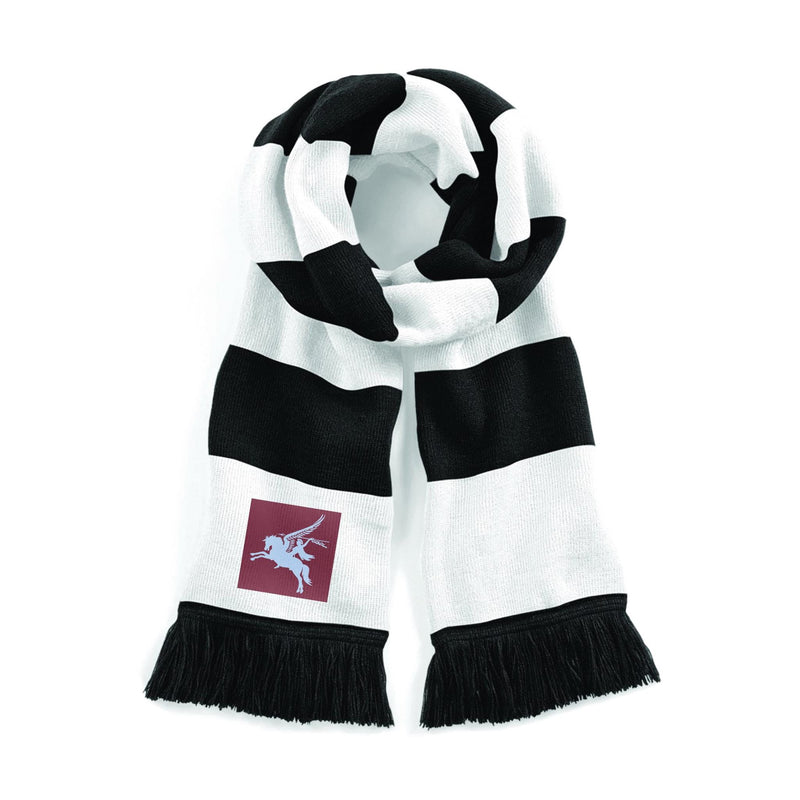 16 Air Assault Brigade Stadium Scarf