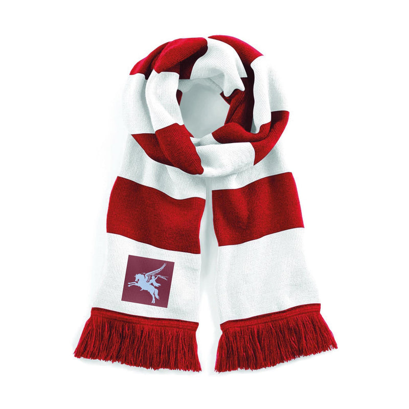 16 Air Assault Brigade Stadium Scarf