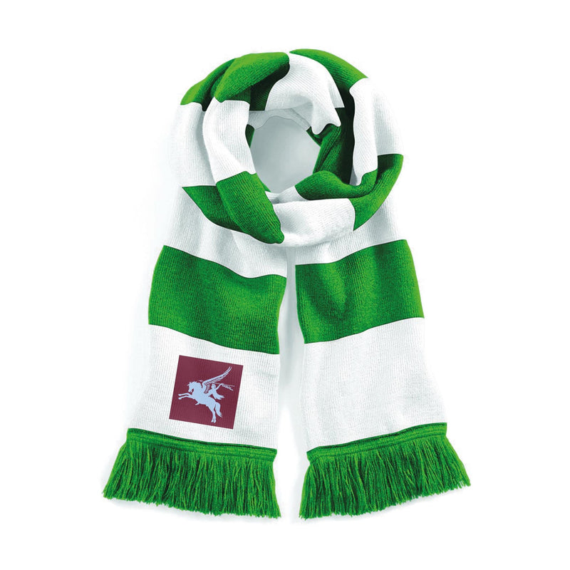 16 Air Assault Brigade Stadium Scarf