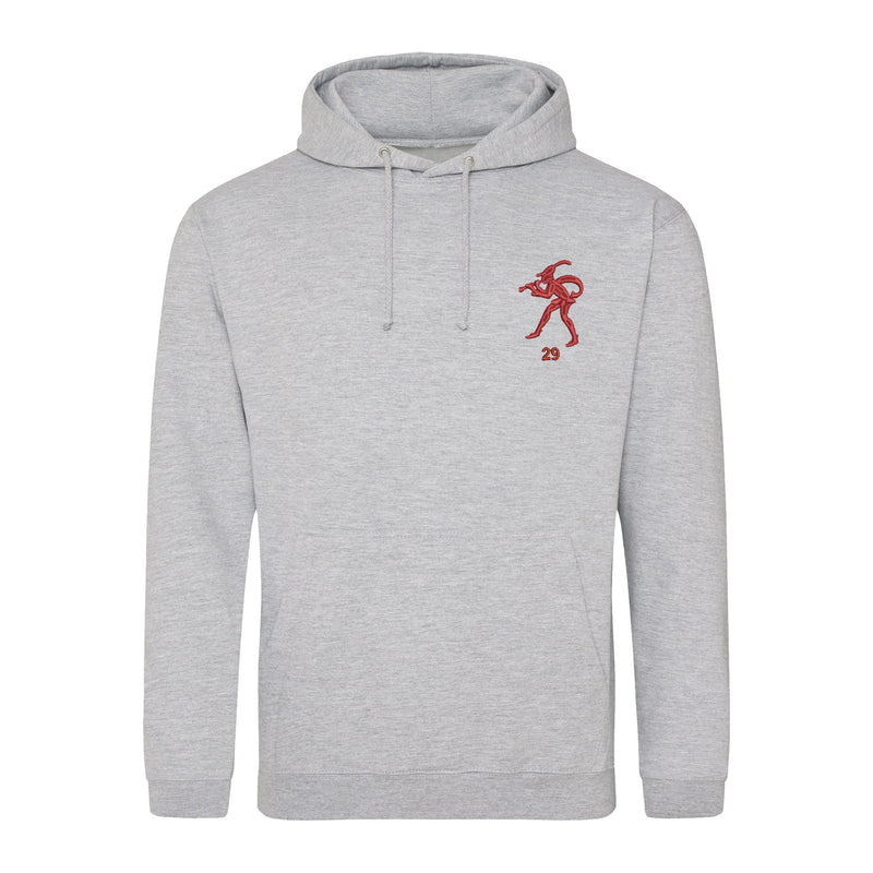 29 Field Squadron Hoodie