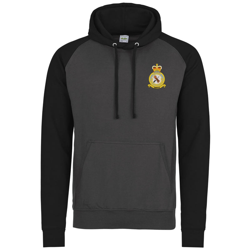 48 Squadron RAF Regiment Contrast Hoodie