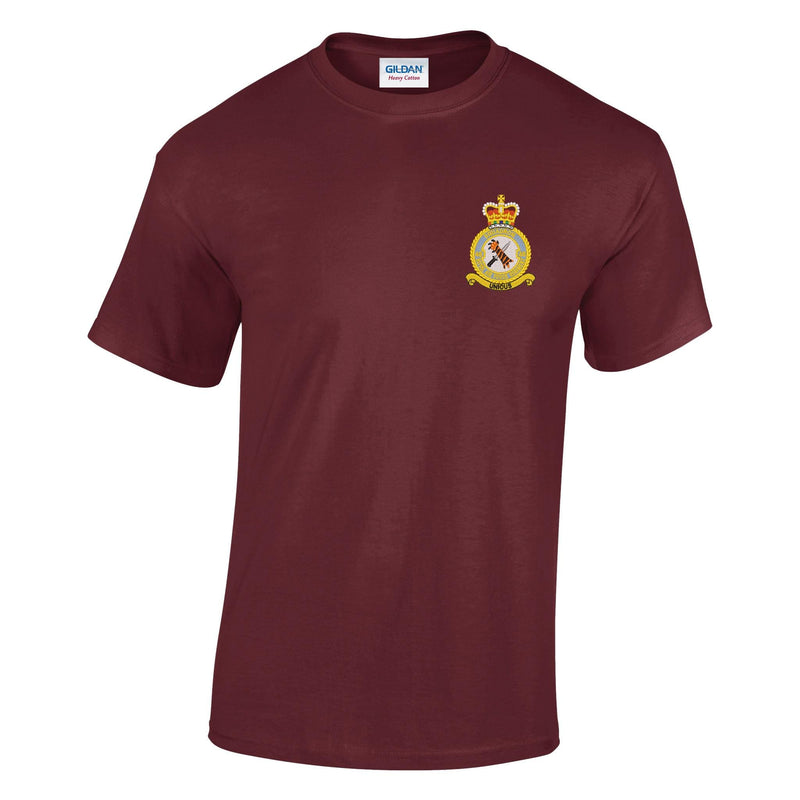 48 Squadron RAF Regiment Cotton T-Shirt