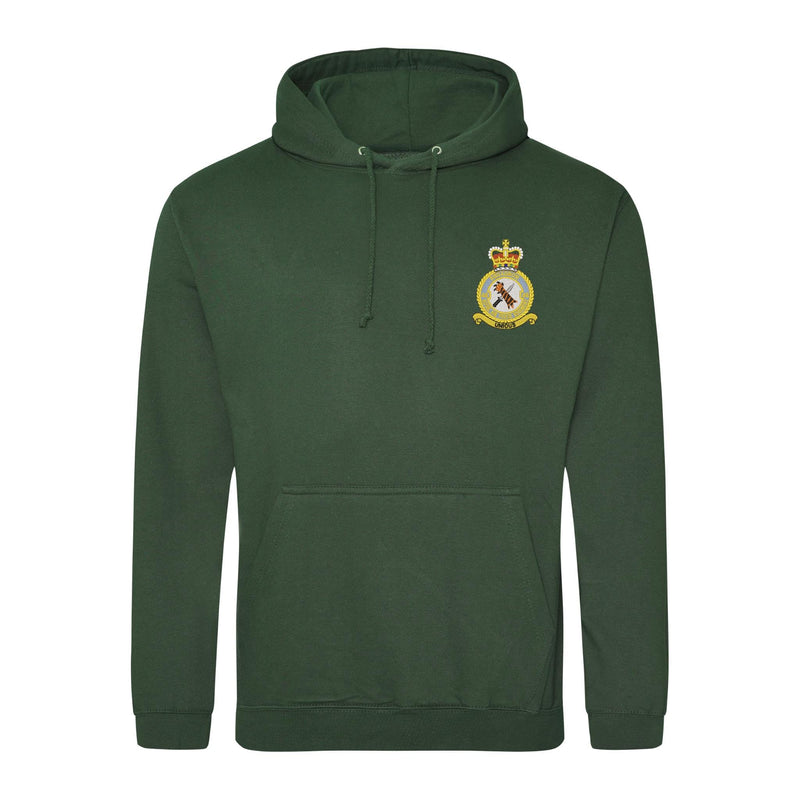 48 Squadron RAF Regiment Hoodie