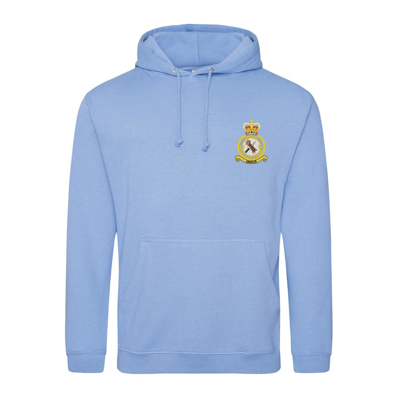 48 Squadron RAF Regiment Hoodie