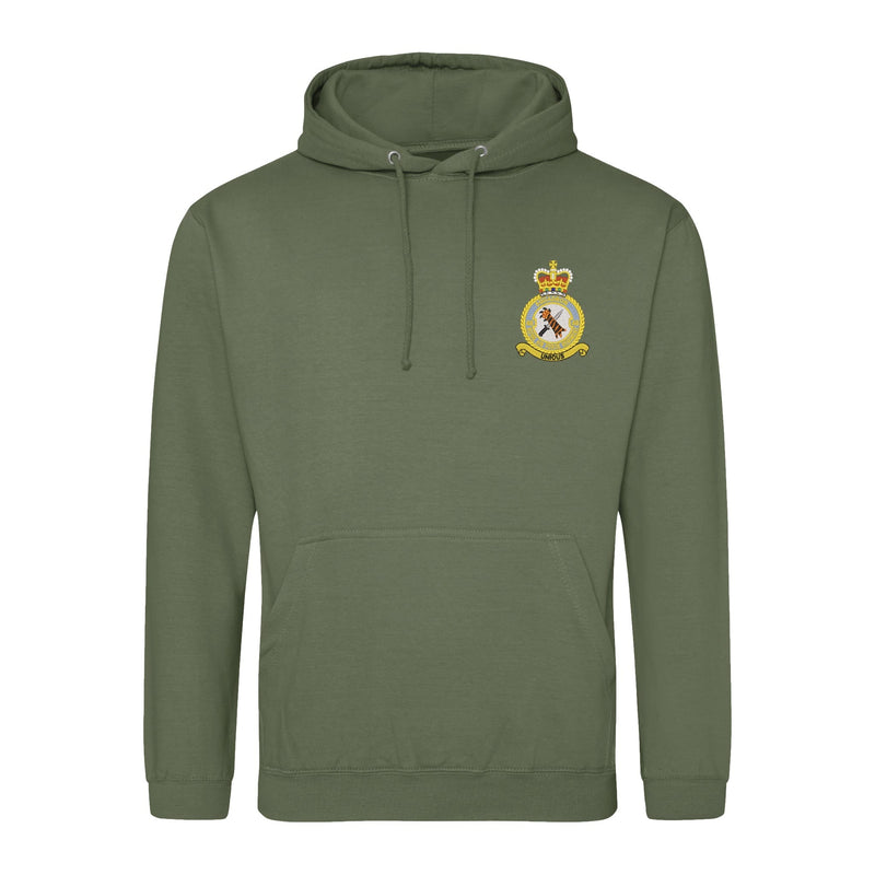 48 Squadron RAF Regiment Hoodie