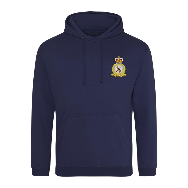 48 Squadron RAF Regiment Hoodie