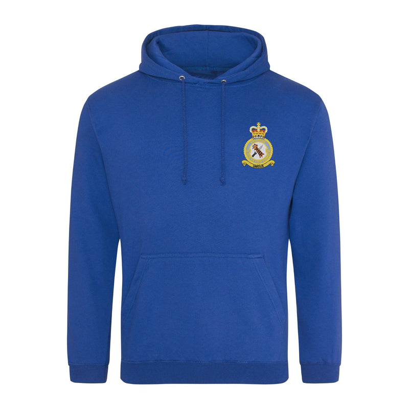 48 Squadron RAF Regiment Hoodie