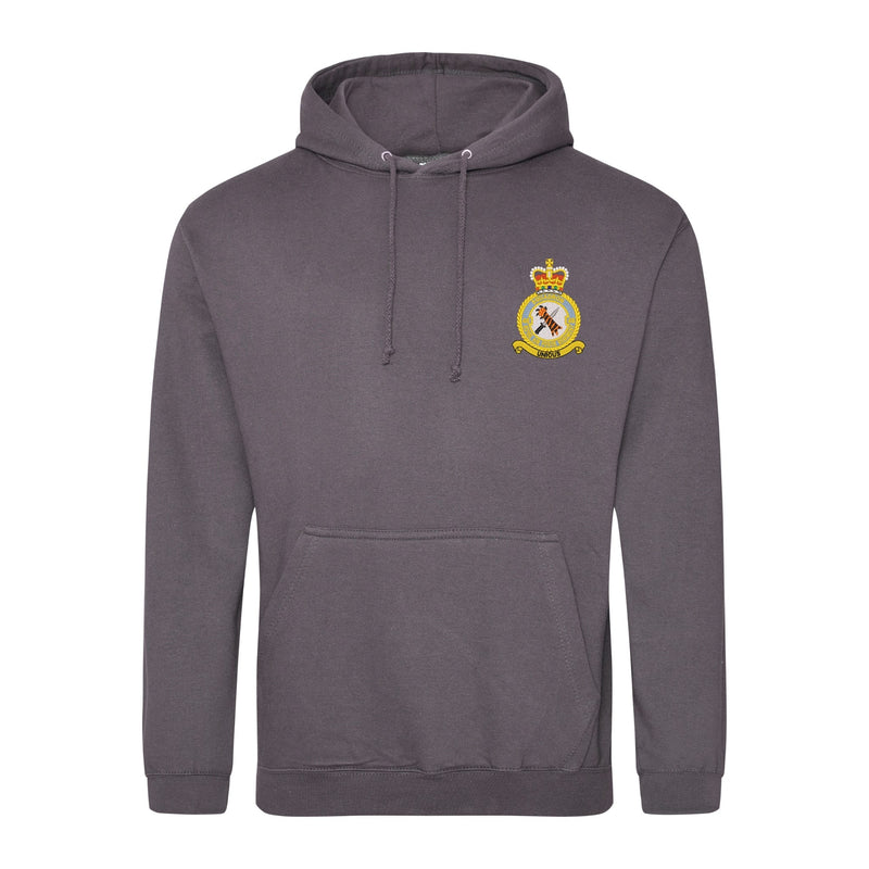 48 Squadron RAF Regiment Hoodie