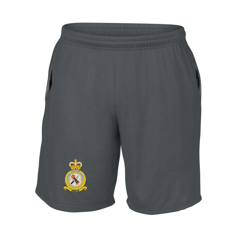 48 Squadron RAF Regiment Performance Shorts