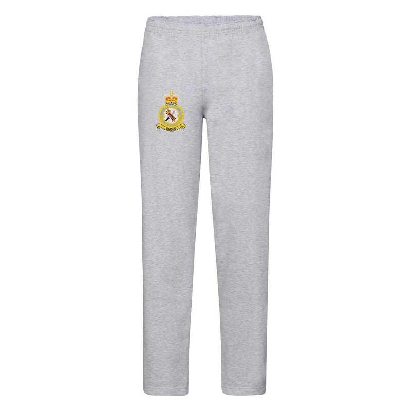 48 Squadron RAF Regiment Sweatpants
