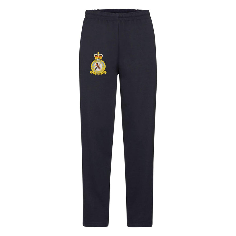 48 Squadron RAF Regiment Sweatpants