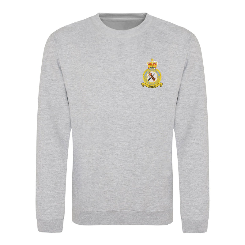 48 Squadron RAF Regiment Sweatshirt