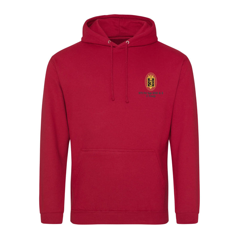 579 Fd Sqn EOD & S 3 Troop Hoodie