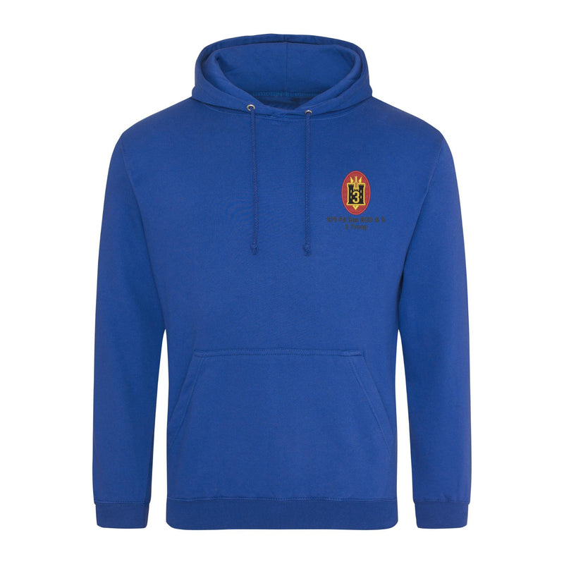 579 Fd Sqn EOD & S 3 Troop Hoodie