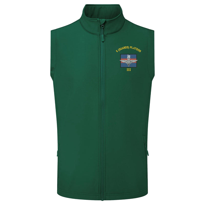6 (Guards) Platoon Gilet