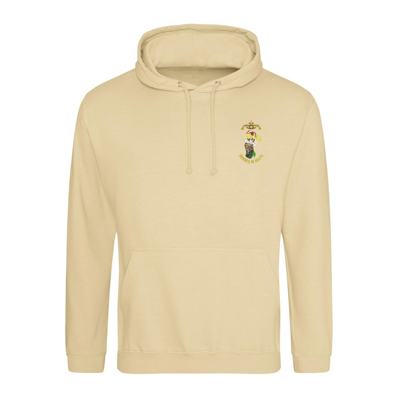Buddies In Boats Neptune Hoodie