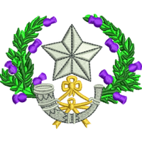 Collection Image