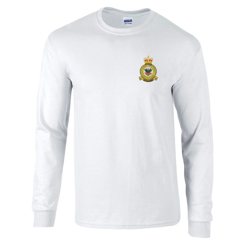 D Squadron Department of Initial Officer Training Long Sleeve T-Shirt