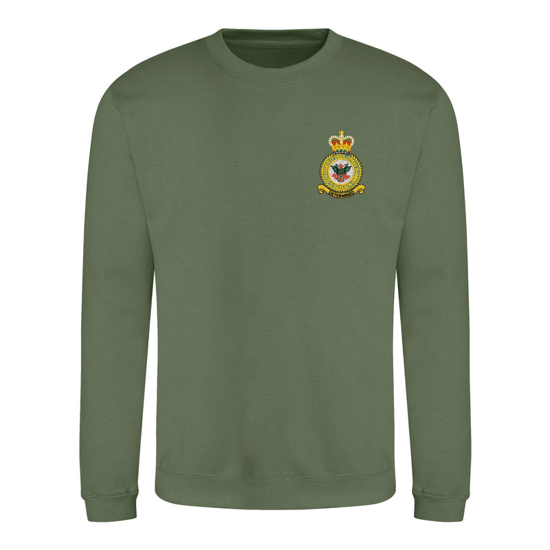 D Squadron Department of Initial Officer Training Sweatshirt