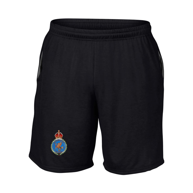 Defence Nuclear Enterprise Performance Shorts