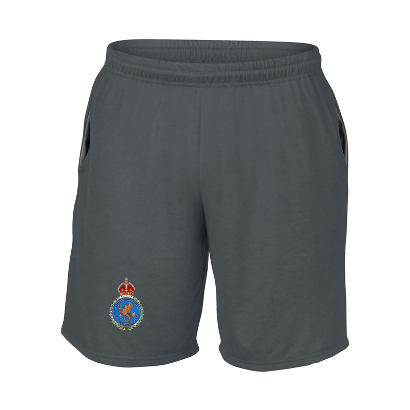 Defence Nuclear Enterprise Performance Shorts