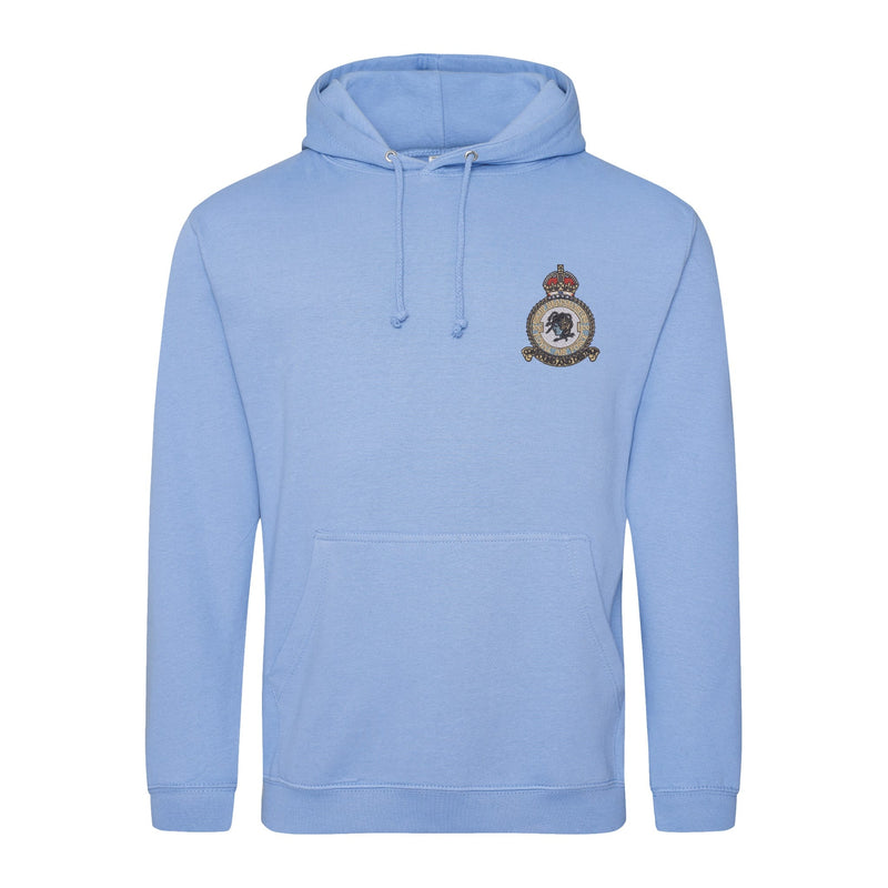 No. 100 Group RAF Hoodie