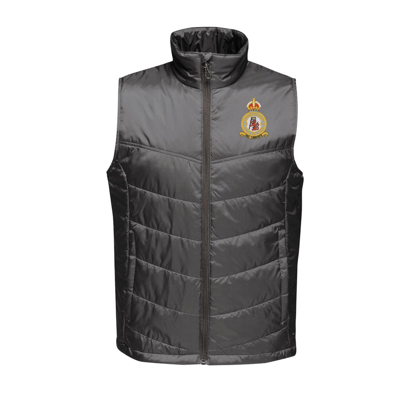 No 106 Squadron RAF Insulated Bodywarmer