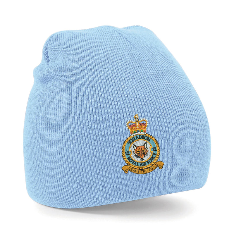 No. 12 Squadron RAF Beanie Hat