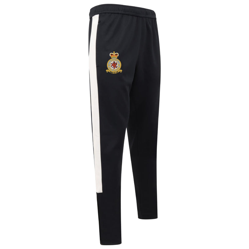 No 18 Squadron RAF Knitted Tracksuit Pants