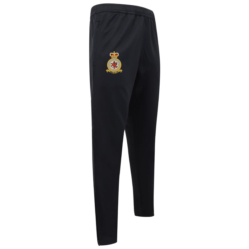 No 18 Squadron RAF Knitted Tracksuit Pants