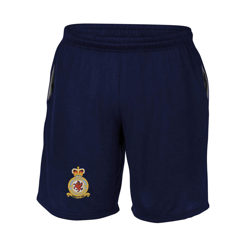 No 18 Squadron RAF Performance Shorts