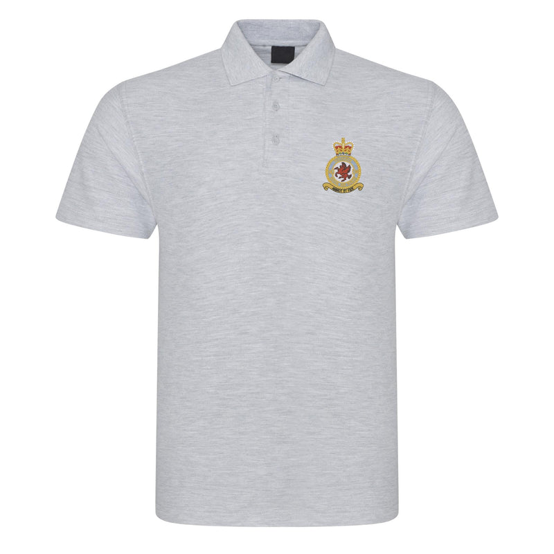 No 18 Squadron RAF Polo Shirt