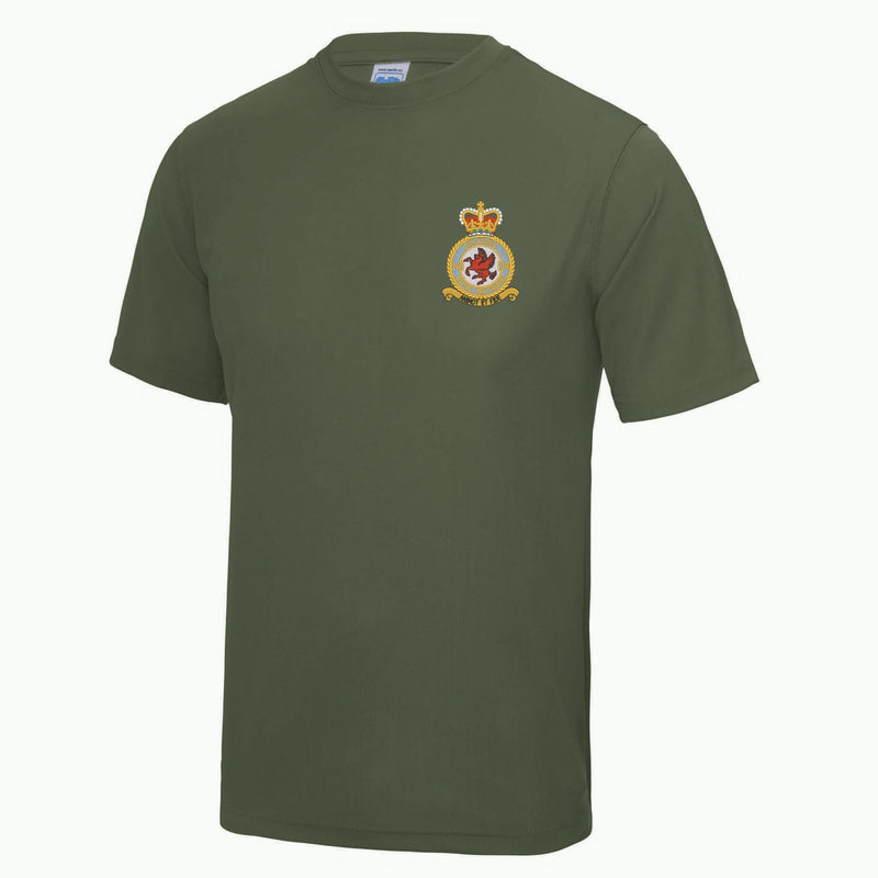 No 18 Squadron RAF Polyester T-Shirt