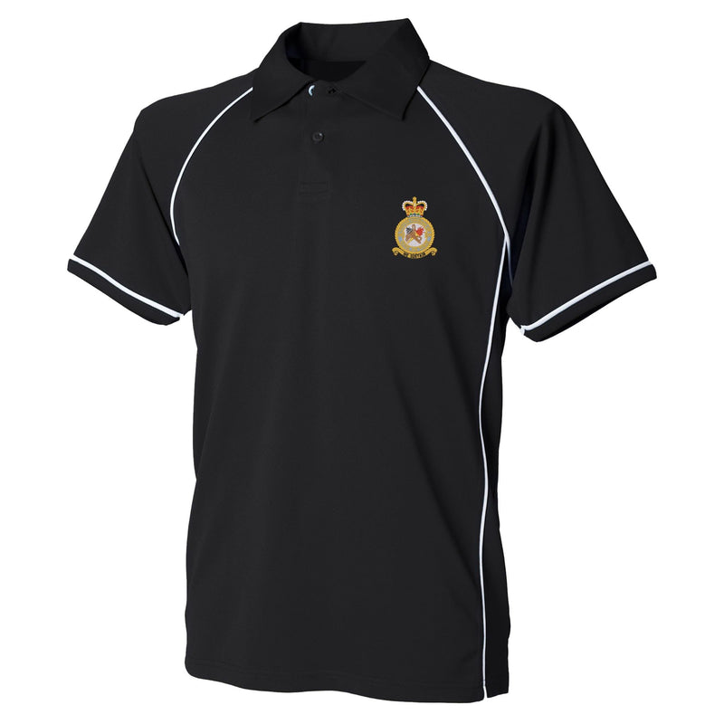 No 226 Operational Conversion Unit RAF Performance Polo
