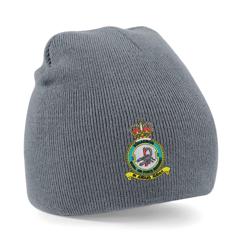 No 3 Squadron RAF Regiment Beanie Hat