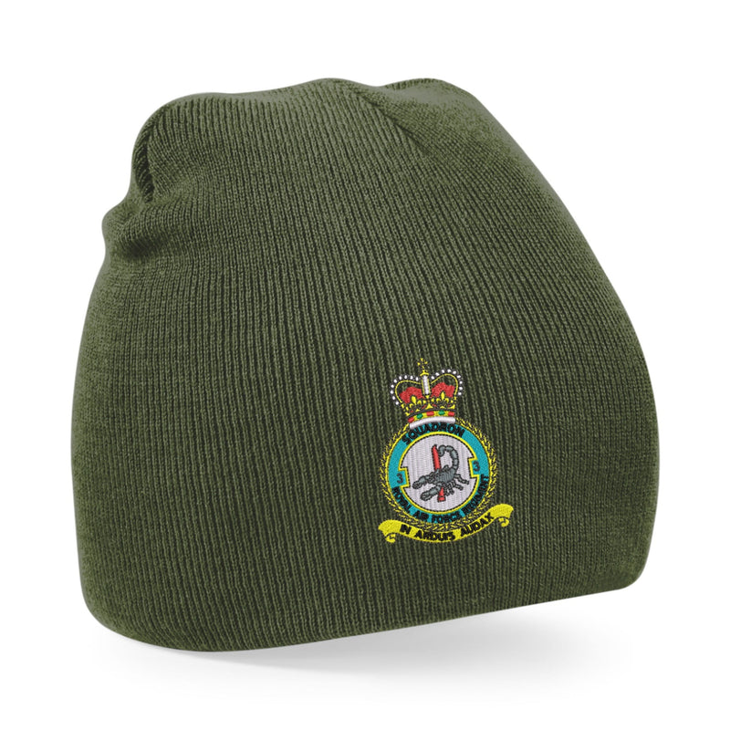No 3 Squadron RAF Regiment Beanie Hat
