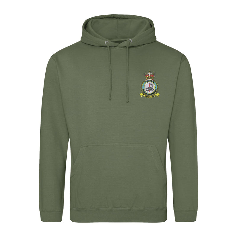 No 3 Squadron RAF Regiment Hoodie