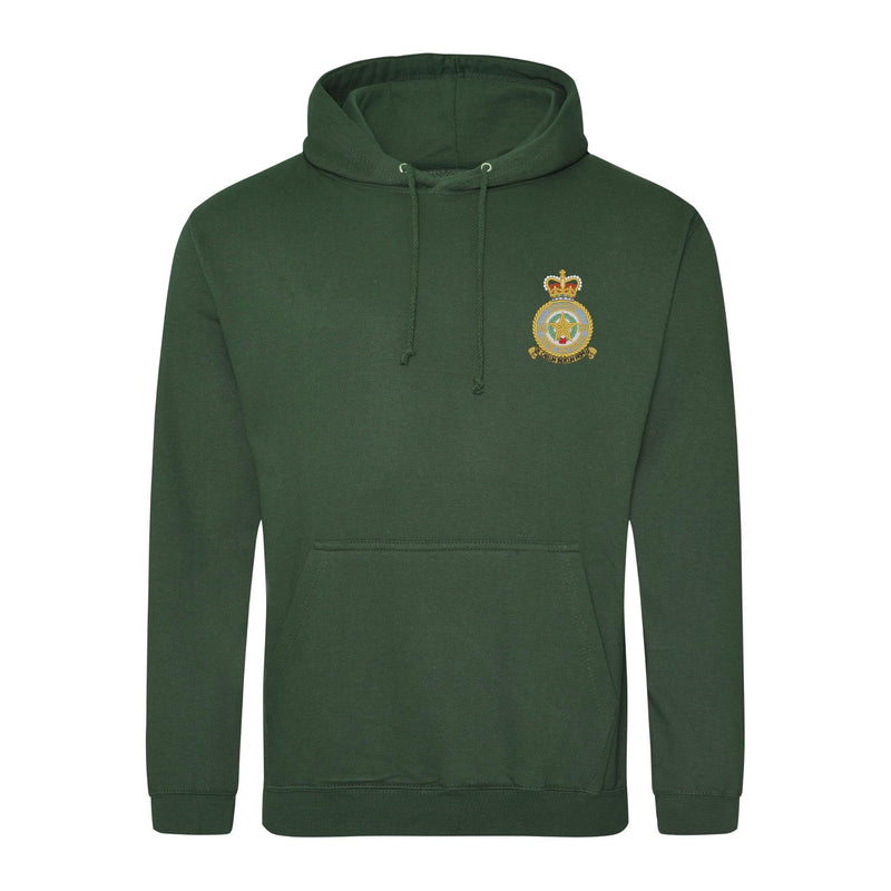 No 31 Squadron RAF Hoodie
