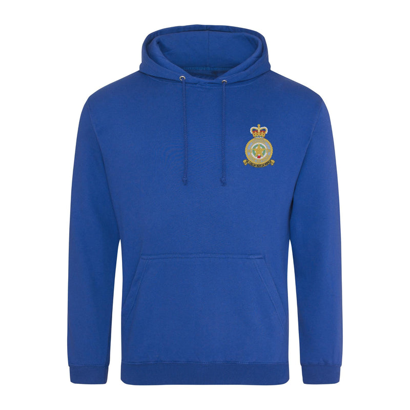 No 31 Squadron RAF Hoodie