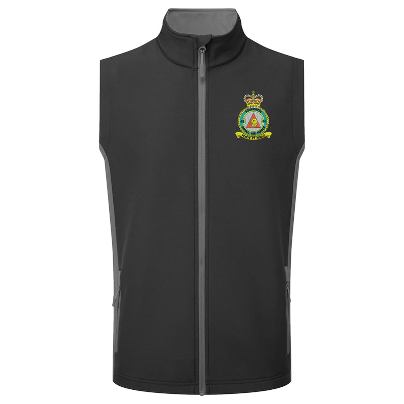 No 48 Squadron RAF Gilet