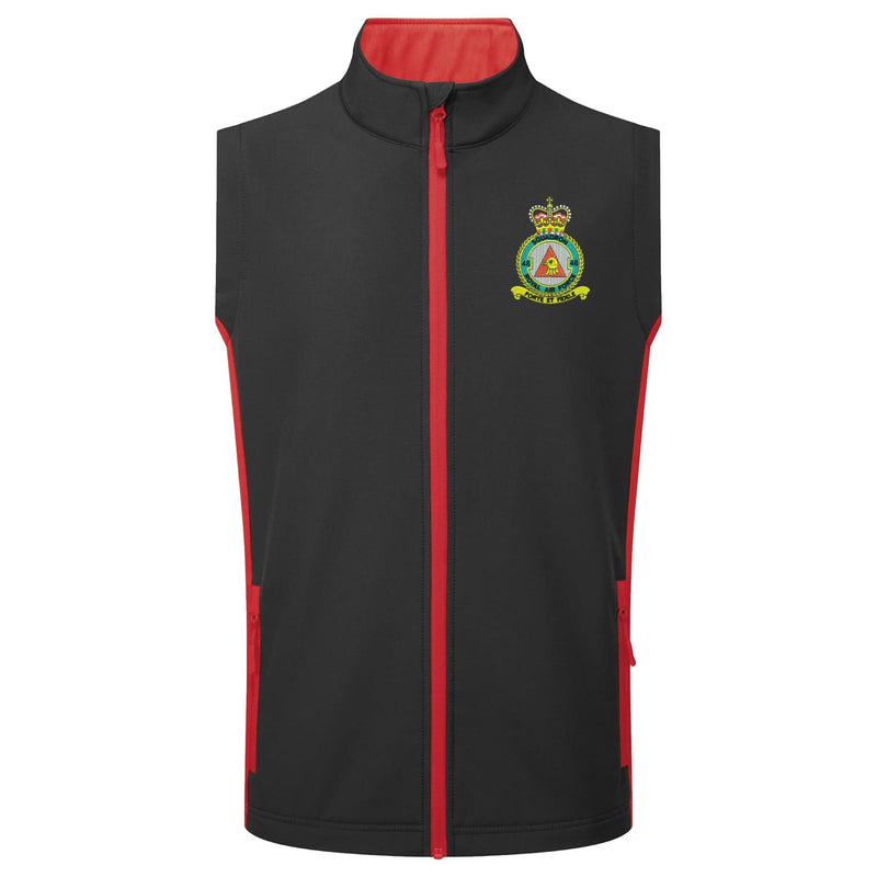 No 48 Squadron RAF Gilet