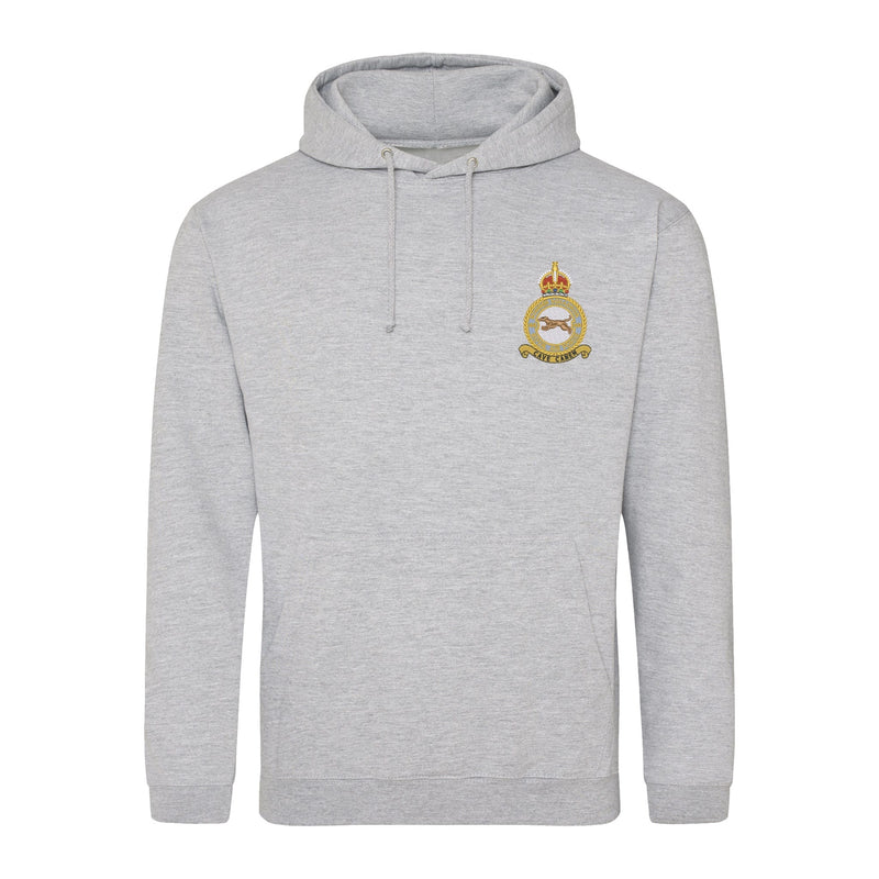 No 49 Squadron RAF Hoodie